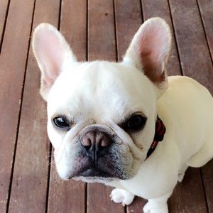 Meet your Posher, Jackie